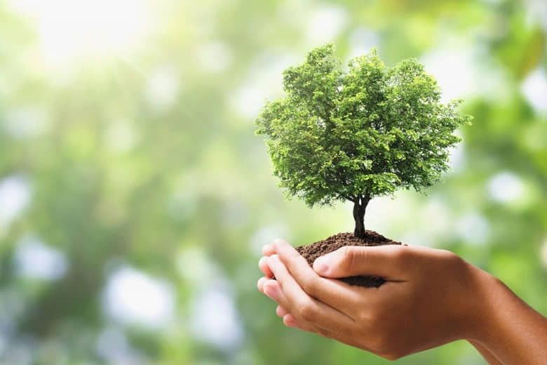 ecology